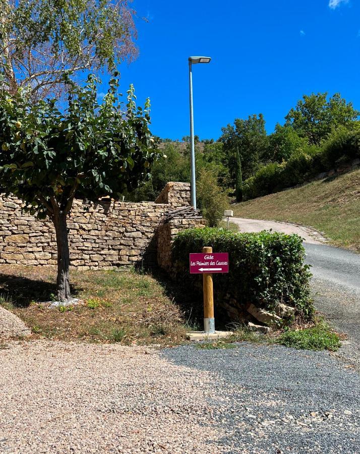 Chambre Au Calme Avec Spa Privatif Gratuit Sud Aveyron Les Palmiers Des Causses Saint-Rome-de-Tarn 외부 사진