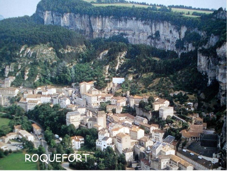 Chambre Au Calme Avec Spa Privatif Gratuit Sud Aveyron Les Palmiers Des Causses Saint-Rome-de-Tarn 외부 사진